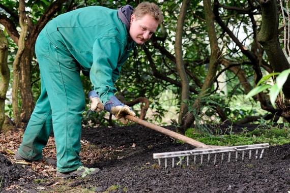 Garten- und Landschaftspflege